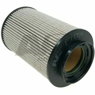 Sconto AVS AUTOPARTS F107 Filtro Carburante