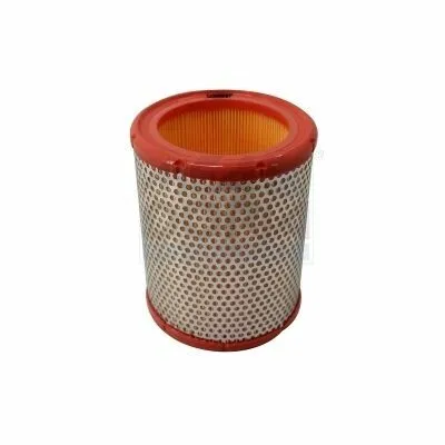 Acquista Ora MEAT & DORIA 16151 Filtro Aria