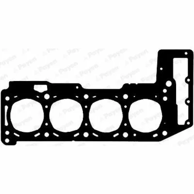 Consegna Rapida PAYEN AG6050 Guarnizione, Testata