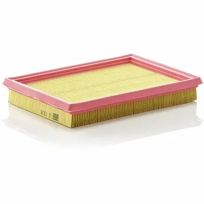Prezzo Conveniente MANN-FILTER C 2329 Filtro Aria