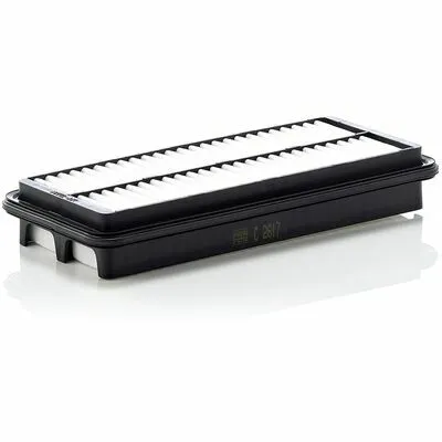 Compra Oggi Stesso MANN-FILTER C 2617 Filtro Aria