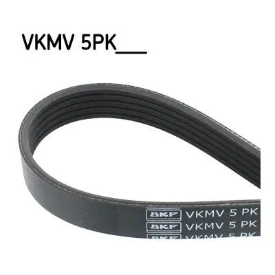 SKF VKMV 5PK1218 Cinghia Poly-V Consegna Rapida